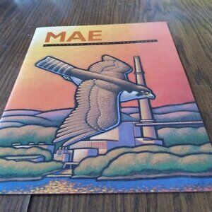 MAE A Peregrine Falcon's True Story By Rebecca Anders